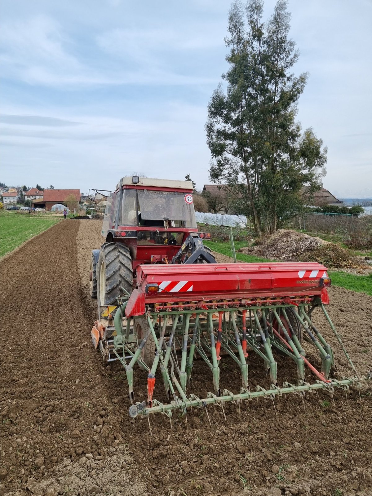 Semis du lupin dans les champs du Vully, La Ferme Chautems